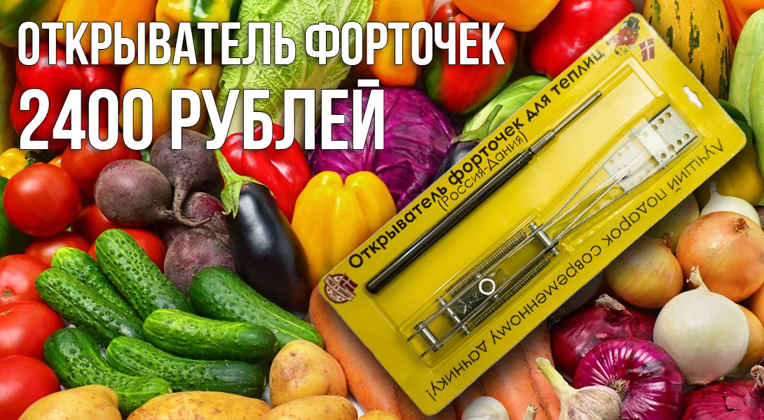 Баннер 6